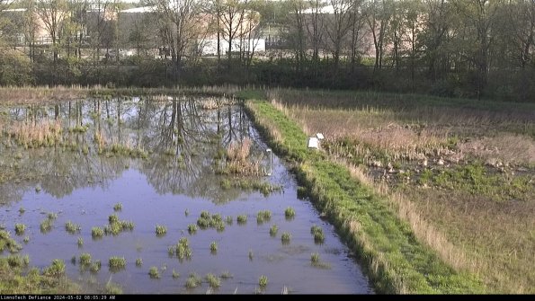 Cell 3 to 4_24-05-02_08-05-30-33