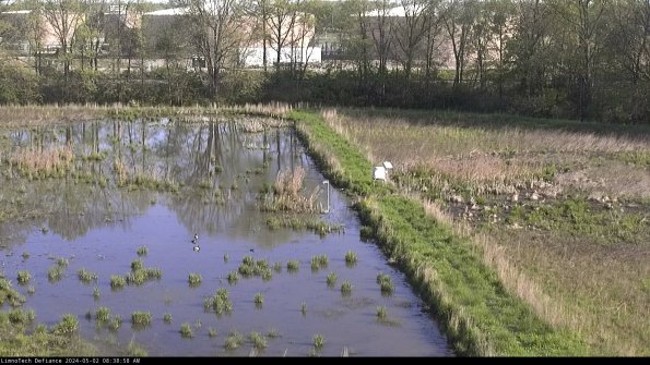 Cell 3 to 4_24-05-02_08-38-59-35