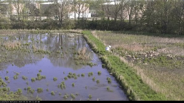 Cell 3 to 4_24-05-02_09-12-29-34