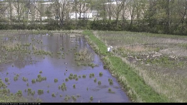 Cell 3 to 4_24-05-02_11-59-58-33