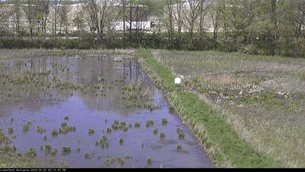 Cell 3 to 4_24-05-02_14-13-56-35