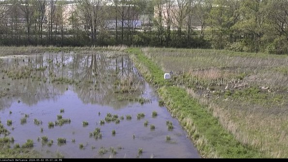 Cell 3 to 4_24-05-02_17-01-25-30