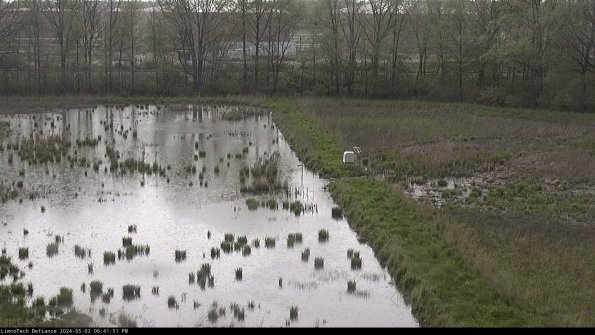 Cell 3 to 4_24-05-02_18-41-52-33