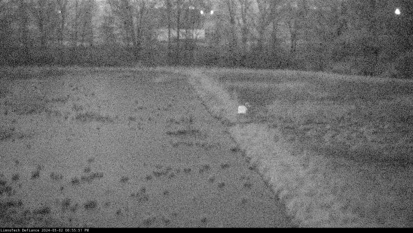 Cell 3 to 4_24-05-02_20-55-52-31