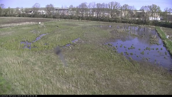 Cell 3_24-05-02_09-45-44-31