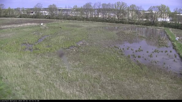 Cell 3_24-05-02_10-19-14-32