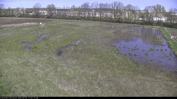 Cell 3_24-05-02_11-26-14-33