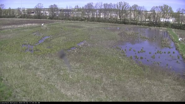 Cell 3_24-05-02_11-59-44-35