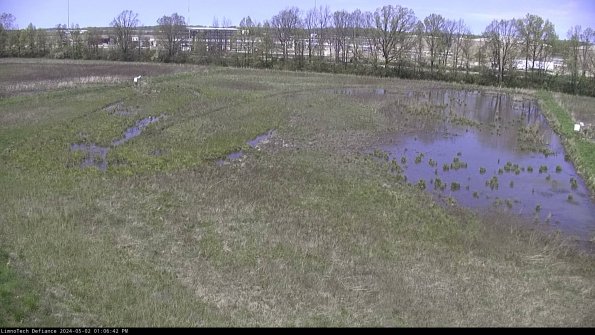 Cell 3_24-05-02_13-06-43-35