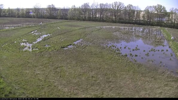 Cell 3_24-05-02_17-01-11-32