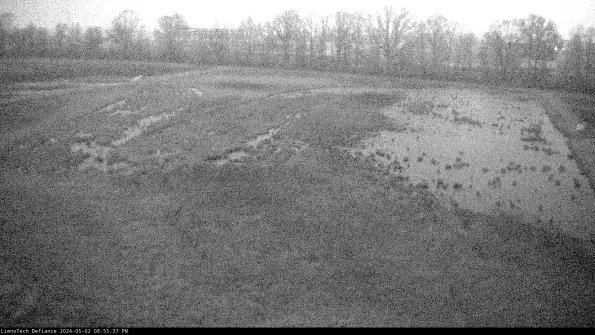 Cell 3_24-05-02_20-55-38-33