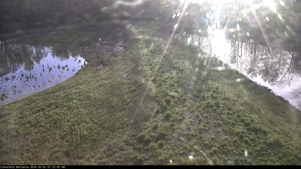 Cell 4 to Basin_24-05-02_07-32-44-35