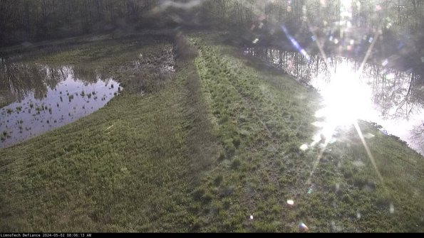 Cell 4 to Basin_24-05-02_08-06-14-34