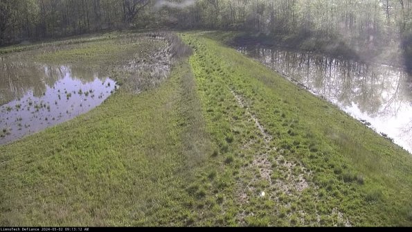 Cell 4 to Basin_24-05-02_09-13-13-35