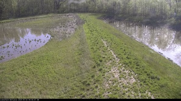 Cell 4 to Basin_24-05-02_09-46-42-37