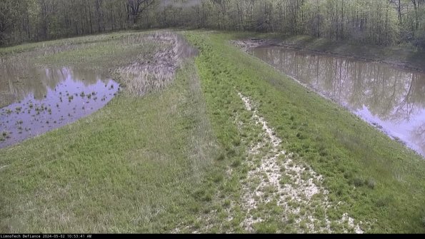 Cell 4 to Basin_24-05-02_10-53-42-33