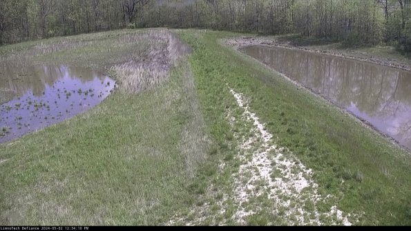 Cell 4 to Basin_24-05-02_12-34-11-33