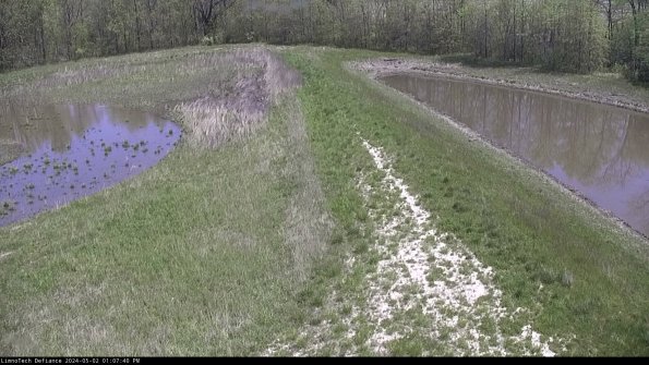 Cell 4 to Basin_24-05-02_13-07-41-31