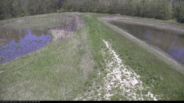 Cell 4 to Basin_24-05-02_14-48-09-34