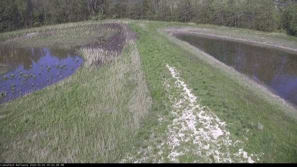 Cell 4 to Basin_24-05-02_17-02-09-35