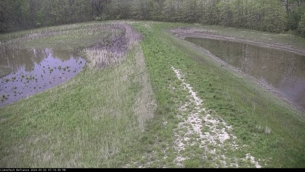 Cell 4 to Basin_24-05-02_19-16-07-33