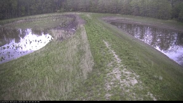 Cell 4 to Basin_24-05-02_19-49-37-35