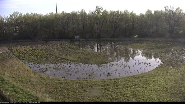 Cell 4_24-05-02_08-05-44-31