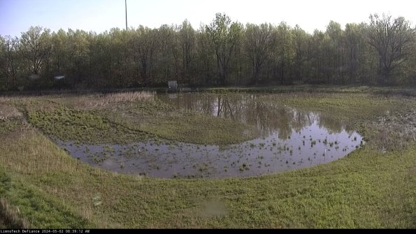 Cell 4_24-05-02_08-39-13-36