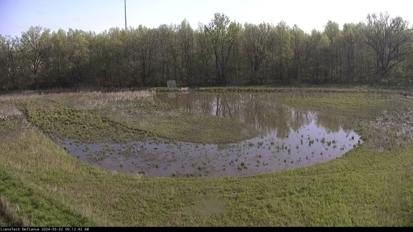 Cell 4_24-05-02_09-12-43-32