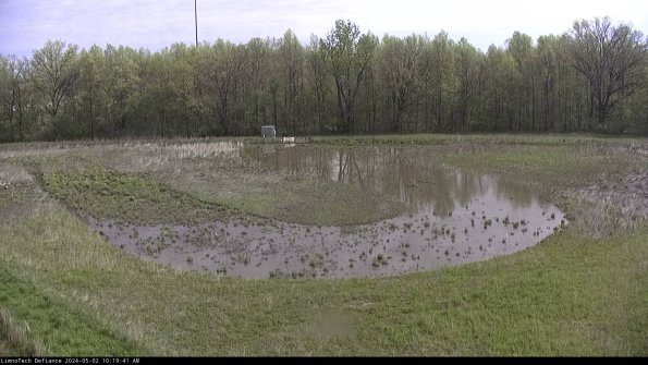 Cell 4_24-05-02_10-19-42-32