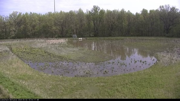 Cell 4_24-05-02_10-53-12-34