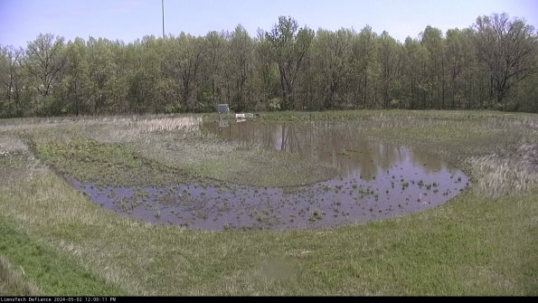 Cell 4_24-05-02_12-00-12-31