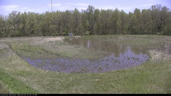 Cell 4_24-05-02_13-07-11-32