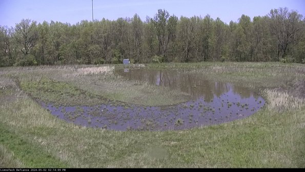 Cell 4_24-05-02_14-14-10-33