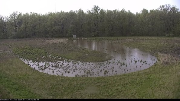 Cell 4_24-05-02_18-42-06-31