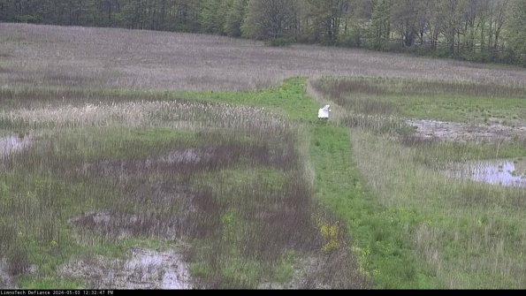 Cell 1 to 2_24-05-03_12-32-48-35