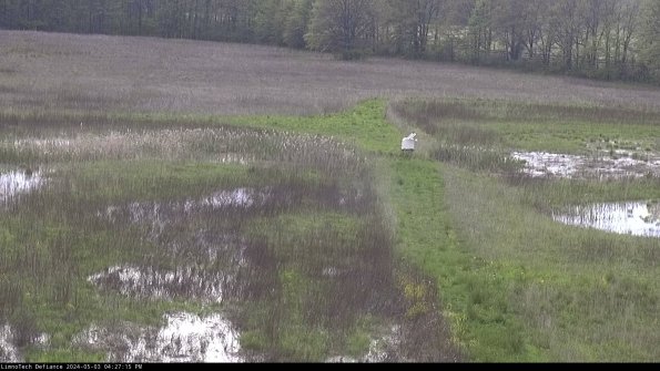 Cell 1 to 2_24-05-03_16-27-16-33