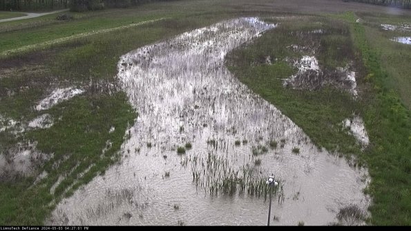 Cell 1_24-05-03_16-27-02-31