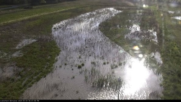 Cell 1_24-05-03_18-41-01-33