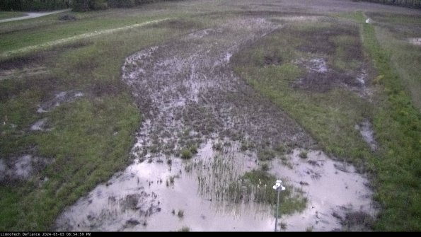 Cell 1_24-05-03_20-55-00-34