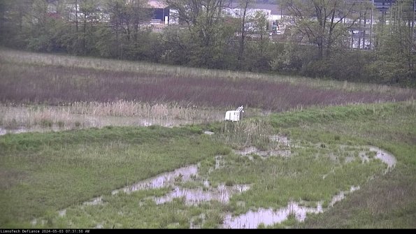 Cell 2 to 3_24-05-03_07-31-50-43