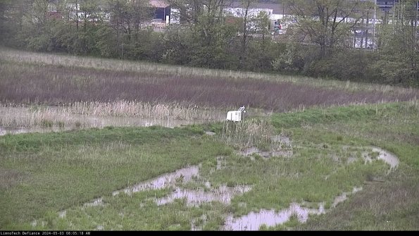 Cell 2 to 3_24-05-03_08-05-19-36