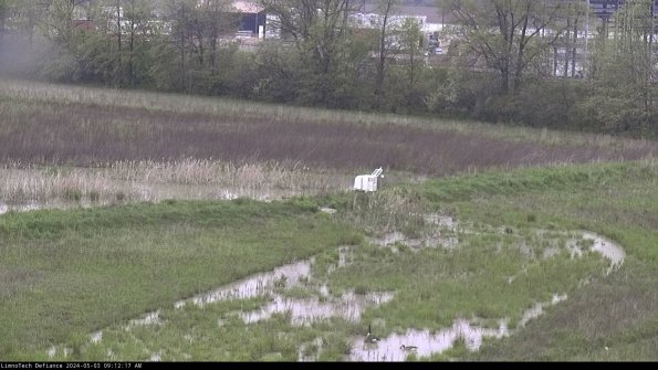 Cell 2 to 3_24-05-03_09-12-18-45