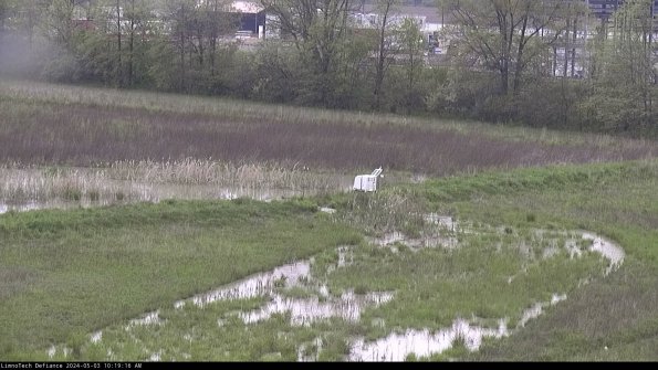 Cell 2 to 3_24-05-03_10-19-17-42