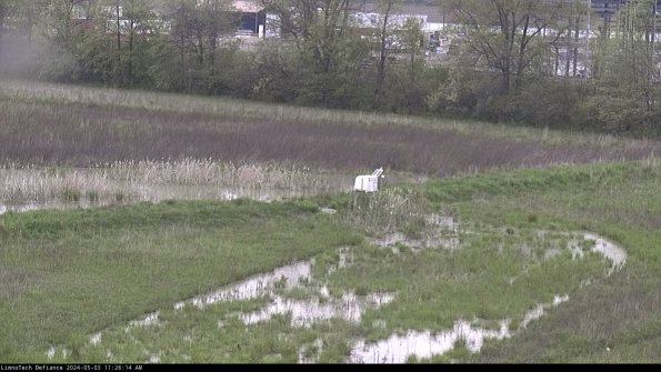 Cell 2 to 3_24-05-03_11-26-14-51