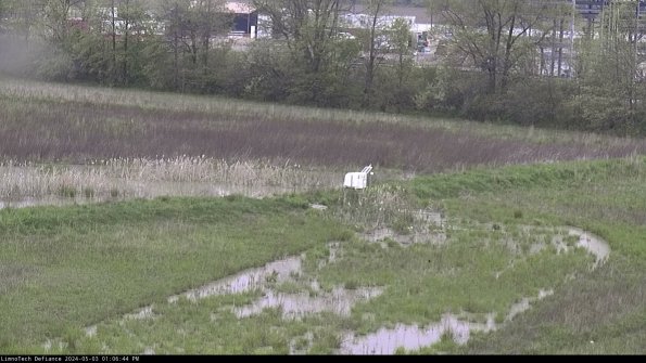 Cell 2 to 3_24-05-03_13-06-44-47