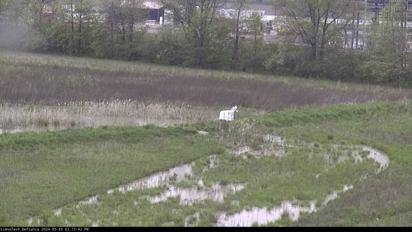 Cell 2 to 3_24-05-03_14-13-43-41