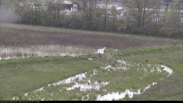 Cell 2 to 3_24-05-03_14-47-13-46