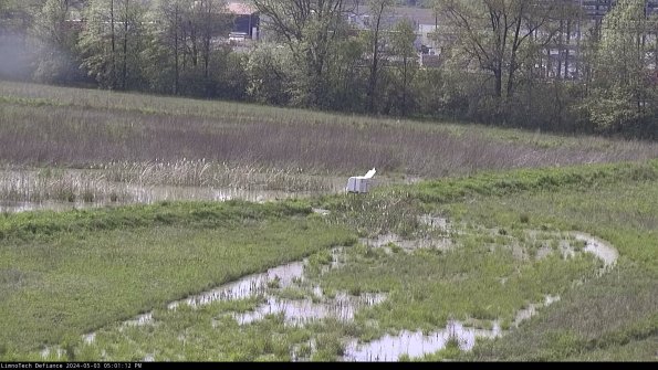 Cell 2 to 3_24-05-03_17-01-13-34