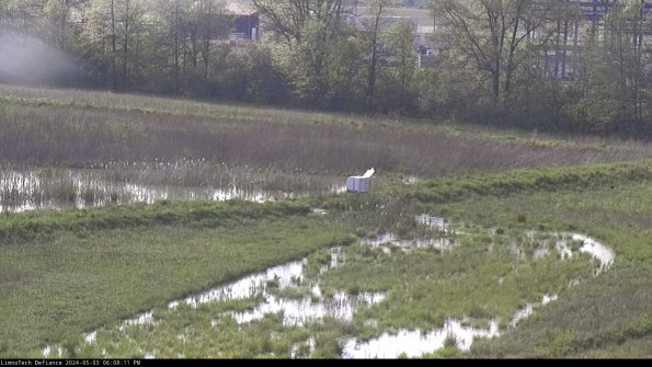 Cell 2 to 3_24-05-03_18-08-11-48